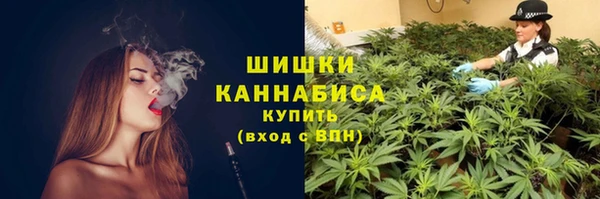 ПСИЛОЦИБИНОВЫЕ ГРИБЫ Баксан